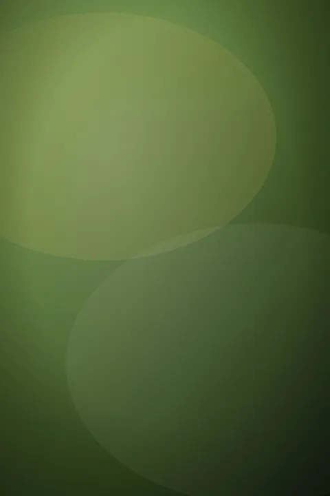 Locandina placeholder di Chiamami col tuo nome