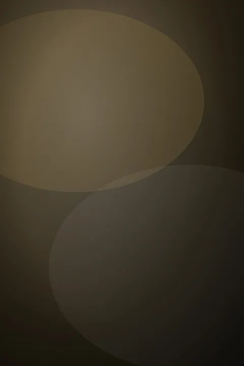 Locandina placeholder de Il Padrino